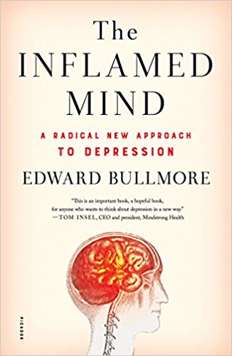 The Inflamed Mind